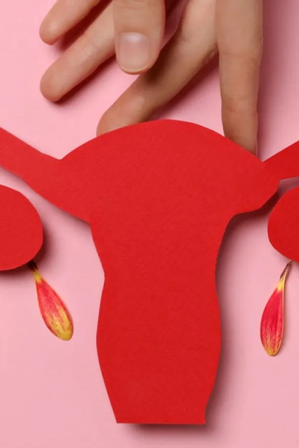red paper uterus female hand pink background top view (1) (1)