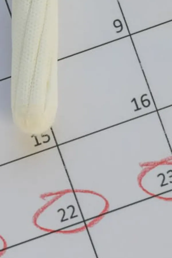 tampons calendar (2) (1)