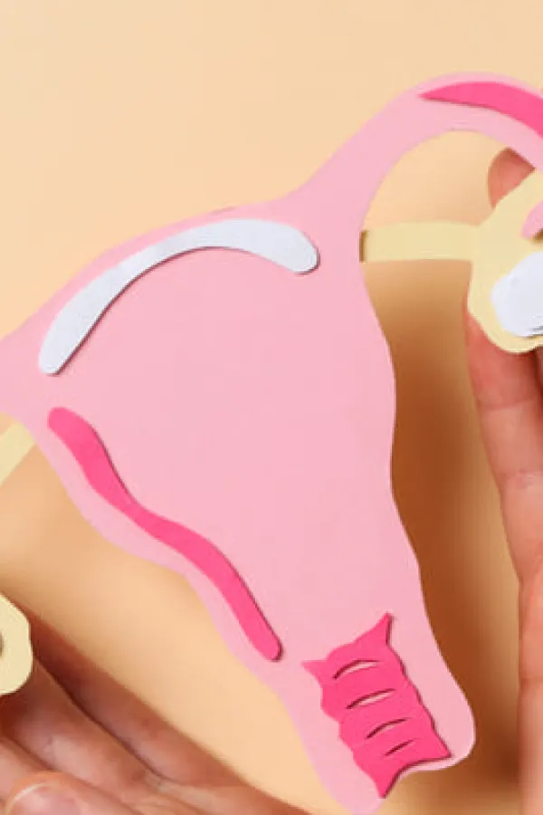women s health women s healthcare concept with uterus (1) (1)