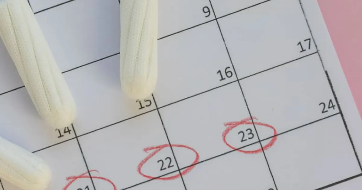 tampons calendar (2) (1)